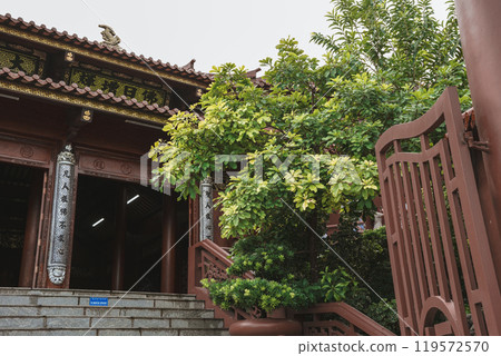 Phuoc Thien pagoda, Chau Doc, An Giang, VIetnam 119572570