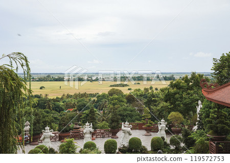 beautiful flowers in the garden beautiful flowers in the garden 119572753