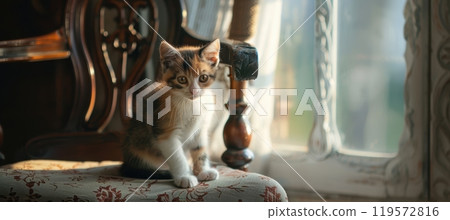 Charming Calico Kitten on Vintage Chair with Sunlit Ambiance for Pet-Themed Decor and Design 119572816