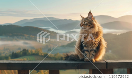 Majestic Maine Coon Cat Overlooking Misty Mountain Valley at Sunrise for Pet Lovers 119572922