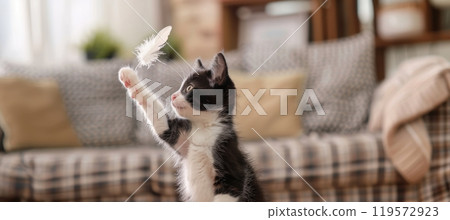 Playful Tuxedo Kitten Reaching for Feather Toy in Cozy Living Room Setting 119572923