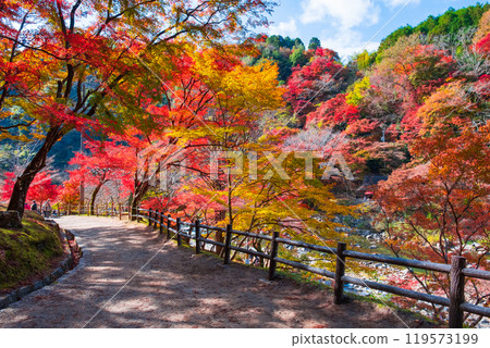 Korankei (Autumn) Korankei (Autumn) 119573199