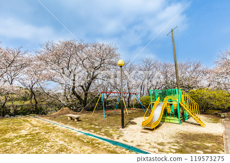 Cherry blossoms at Awashima Park and Awashima Shrine [Unzen City, Nagasaki Prefecture] 119573275