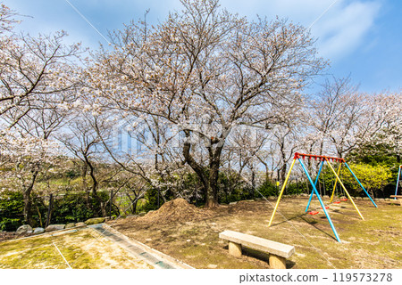 Cherry blossoms at Awashima Park and Awashima Shrine [Unzen City, Nagasaki Prefecture] 119573278