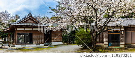 淡島公園/淡島神社櫻花全景【長崎縣雲仙市】 淡島公園/淡島神社櫻花全景【長崎縣雲仙市】 119573291