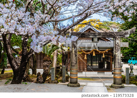 淡島公園與淡島神社的櫻花【長崎縣雲仙市】 119573328