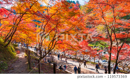 Korankei (Autumn) 119573369