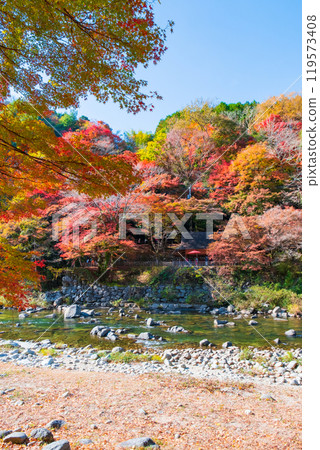 Korankei (Autumn) 119573408