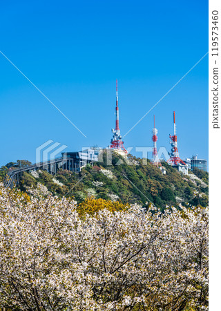 Inasayama radio tower and cherry blossoms [Nagasaki City] 119573460