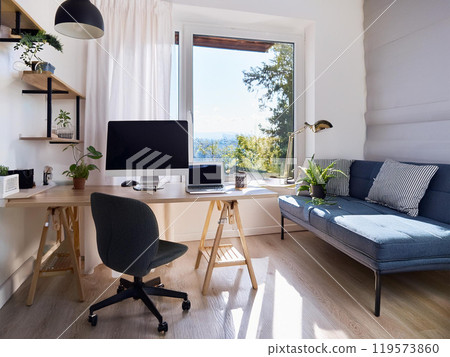遠程工作室，自然內飾 119573860