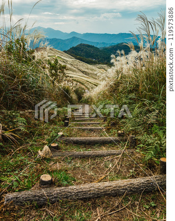 Pampas grass and autumn natural scenery under the sky, Shiozuka Highlands, Tokushima Prefecture Pampas grass and autumn natural scenery under the sky, Shiozuka Highlands, Tokushima Prefecture 119573886