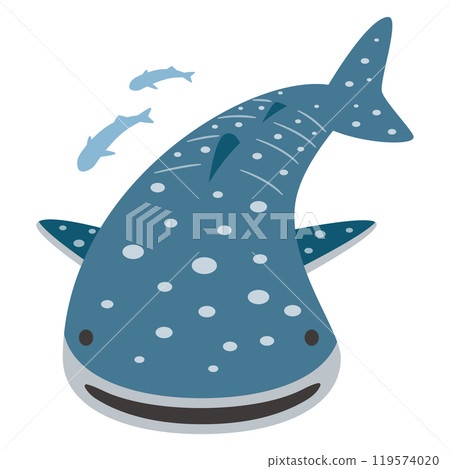 Illustration of whale shark Illustration of whale shark 119574020