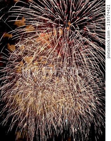 Fireworks dancing in the night sky 119574421