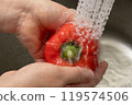 Washing red peppers 119574506