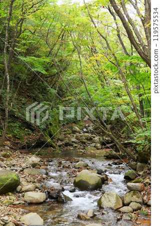 [大玉村遠藤瀧散步道「杉田川溪谷」] 119575534
