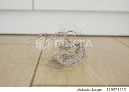 A Dust Bunny Collection resting on a beautifully finished Wooden Flooring surface 119575835