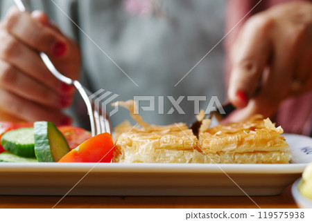 Traditional Turkish Cuisine Pastries borek on a plate  119575938