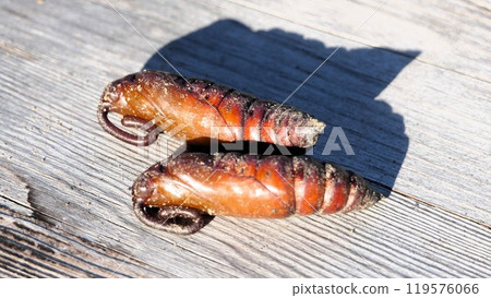 The larvae of the shrimp shrike look as if they are carrying an oxygen tank on their back. 119576066