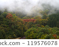 Autumn leaves in Shinshu 119576078