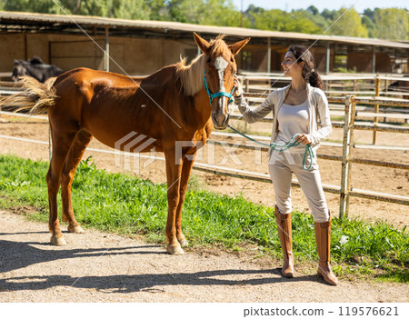 Young woman with horse in paddock 119576621