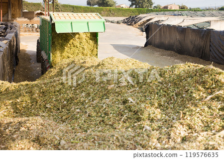 Dump track unloading shredde maize 119576635