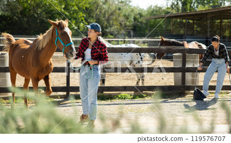 Positive girl, owner of horse, walks pet outdoor in paddock 119576707
