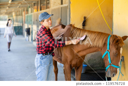 European girl has tied horse to hitching post and is combing animals mane 119576728