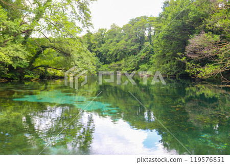 Crystal clear, green aquatic-plants full, waters of Sveti Naum (Saint Naum) springs on the Black Drim river near Ohrid lake, North Macedonia 119576851