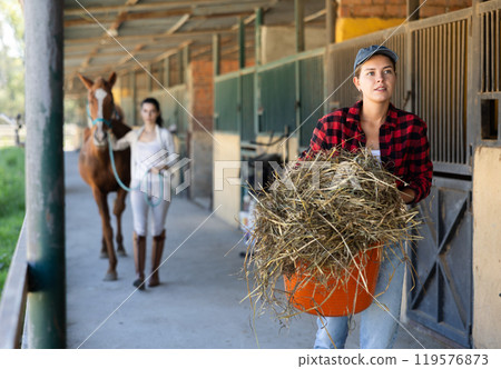 European young female worker walks go through corridor of stable, carrying basket with straw European young female worker walks go through corridor of stable, carrying basket with straw 119576873