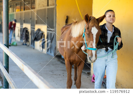 Asian female worker takes horse out of stall, holds animal by bridle and leads pet for walk Asian female worker takes horse out of stall, holds animal by bridle and leads pet for walk 119576912