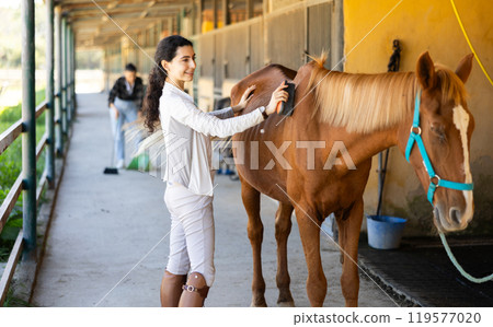Young woman combing horse croup Young woman combing horse croup 119577020