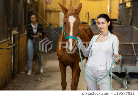 Armenian female worker takes horse out of stall, holds animal by bridle and leads pet for walk 119577021