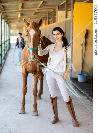 Young woman leads horse out of stable 119577062