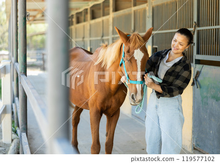 Asian female worker takes horse out of stall, holds animal by bridle and leads pet for walk 119577102