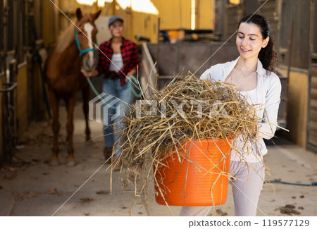 Armenian young female worker walks go through corridor of stable, carrying basket with straw Armenian young female worker walks go through corridor of stable, carrying basket with straw 119577129