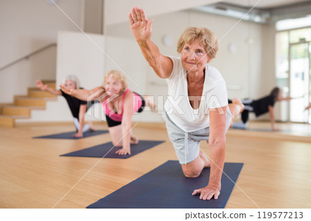 Group of aged ladies doing hands and knees balance 119577213