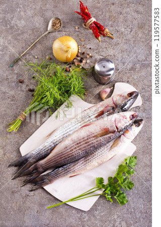 Gray Mullet Fish (Kefal) on board on a table 119577583