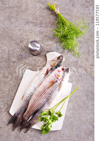 Gray Mullet Fish (Kefal) on board on a table Gray Mullet Fish (Kefal) on board on a table 119577585