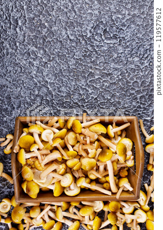 Harvest of autumn forest mushrooms 119577612