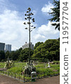 Agave blooms in Hibiya Park in 2024 119577704