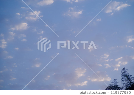 Background material: Blue sky and morning sun shining with sheep clouds, blurred bamboo in front, altocumulus clouds, copy space Background material: Blue sky and morning sun shining with sheep clouds, blurred bamboo in front, altocumulus clouds, copy space 119577980