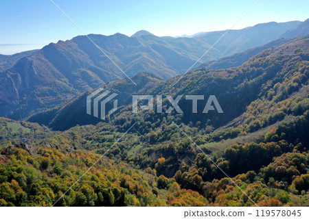 Aerial view of colorful autumn forest covered mountains in the autumn Aerial view of colorful autumn forest covered mountains in the autumn 119578045