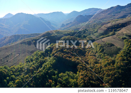 Aerial view of colorful autumn forest covered mountains in the autumn 119578047