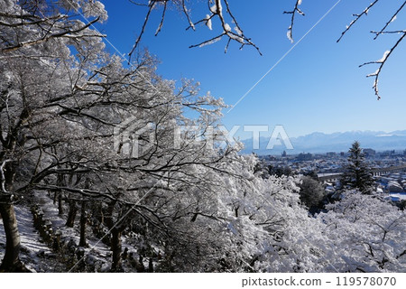 從吳羽山眺望富山市景 從吳羽山眺望富山市景 119578070