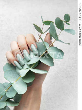 Elegant hands showcasing gray-green nails while holding fresh eucalyptus stems  119578408