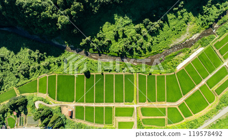 無人機拍攝:大山深處的稻田與河流 無人機拍攝:大山深處的稻田與河流 119578492