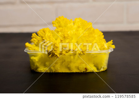 Chemical experiment showing dichromate crystallizing in plastic container Chemical experiment showing dichromate crystallizing in plastic container 119578585
