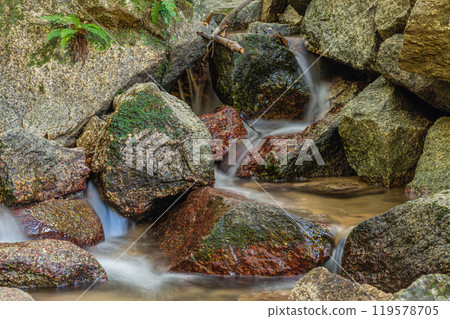 Katano's clear stream, Shakuji River, Katano City, Osaka Prefecture Katano's clear stream, Shakuji River, Katano City, Osaka Prefecture 119578705