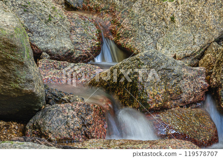 Katano's clear stream, Shakuji River, Katano City, Osaka Prefecture Katano's clear stream, Shakuji River, Katano City, Osaka Prefecture 119578707