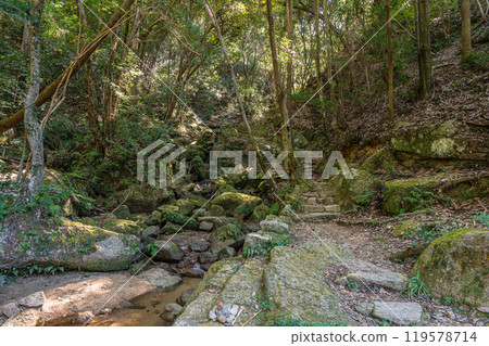 Hiking trail along the clear stream of Shakuji River in Katano, Osaka Prefecture 119578714